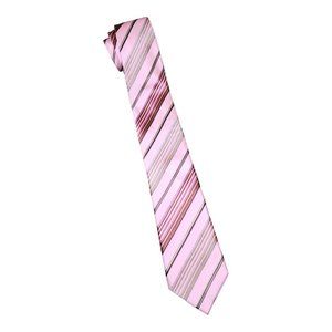 BCBG Attitude Silk Tie